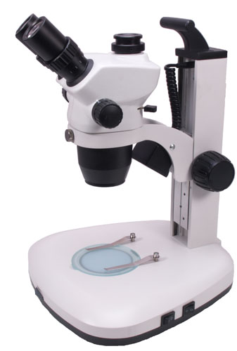 Apex Recorder Trinocular Stereomicroscope
